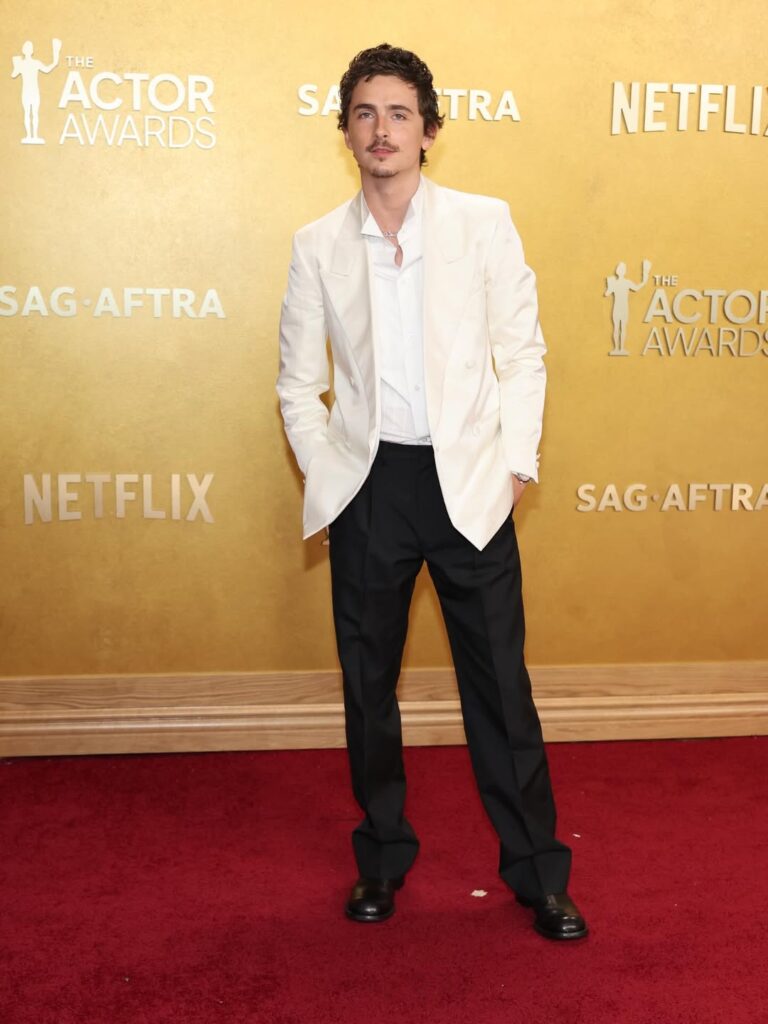 Timothée Chalamet at the 2026 Actor Awards