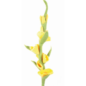 Filtblomma Gladiolus gul