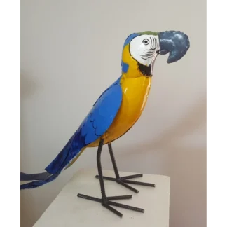 Blå papegoja återbruk