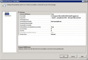 Execute process task