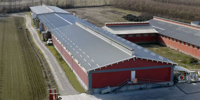 Advantages of Livestock Sandwich Panels of Globe Panels, panneaux sandwich agricoles, panneaux sandwich pour fermes