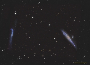 NGC 4631 and NGC 4656 - Whale and Hockey Stick Galaxies