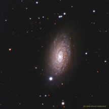 M63