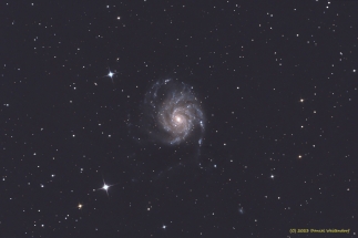 M101 with Supernova SN 2023ixf