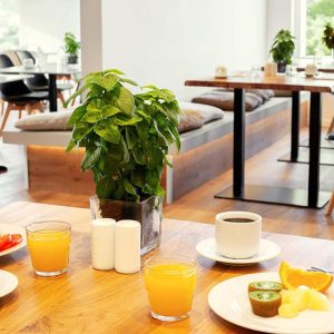 4* Hotel Cyprotel Faliraki | Griekenland