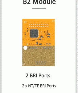 BRI Module