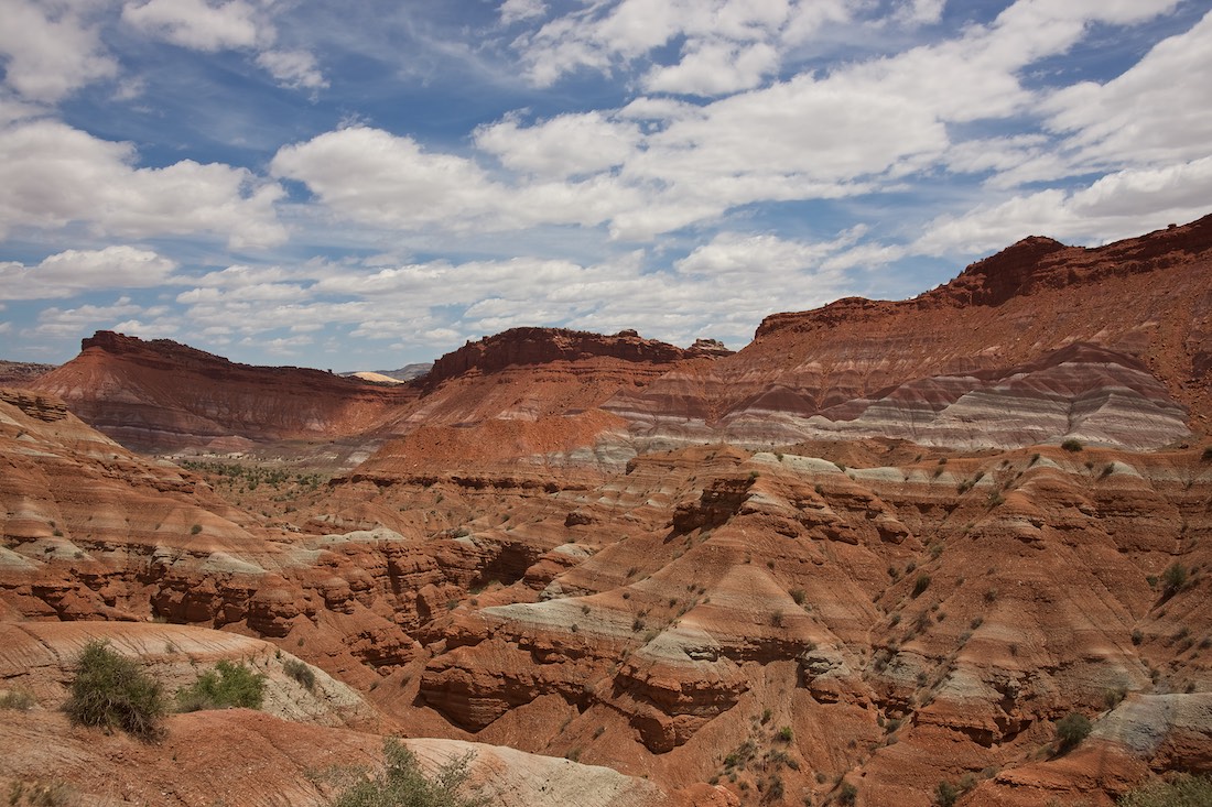 Dagfoto 142-2011 Amerikareis