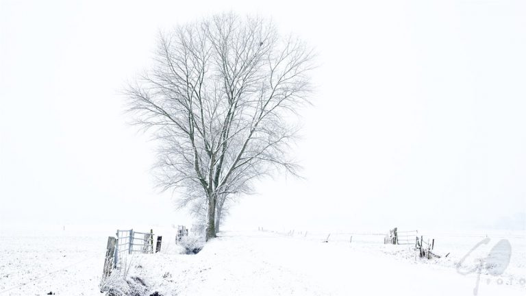 2017 geen sneeuw in Hoogland-West