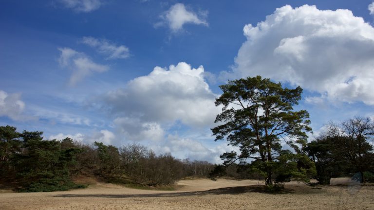 Soesterduinen smachtende blik Jillian