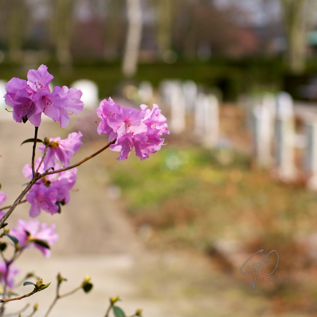 Dagfoto 092-2010