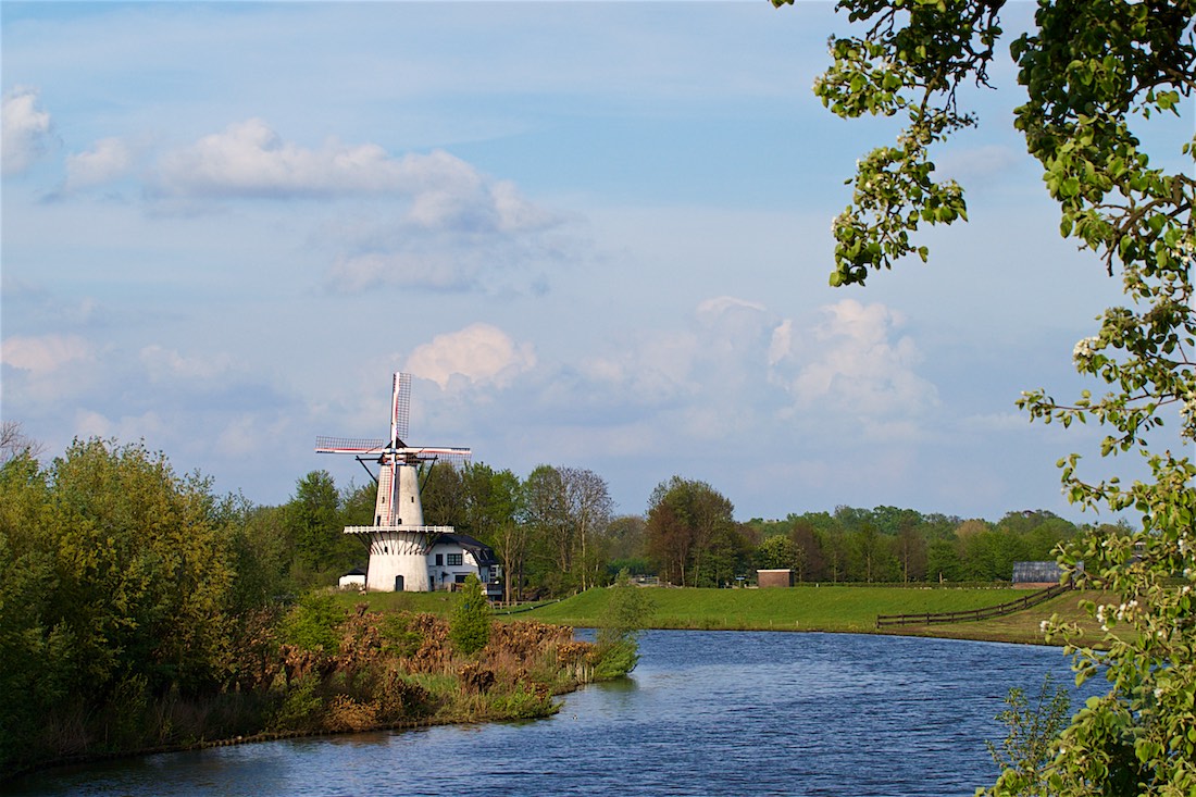 Dagfoto 117-2010 Betuwe