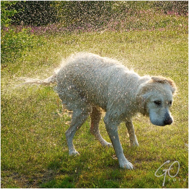 Dagfoto 340-2011 Wedstrijdje