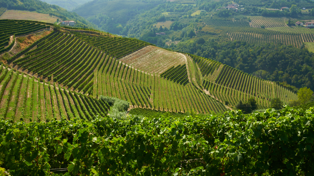 De groene garnizoenen van Piëmont en het Tet-offensief - gofoto.nl