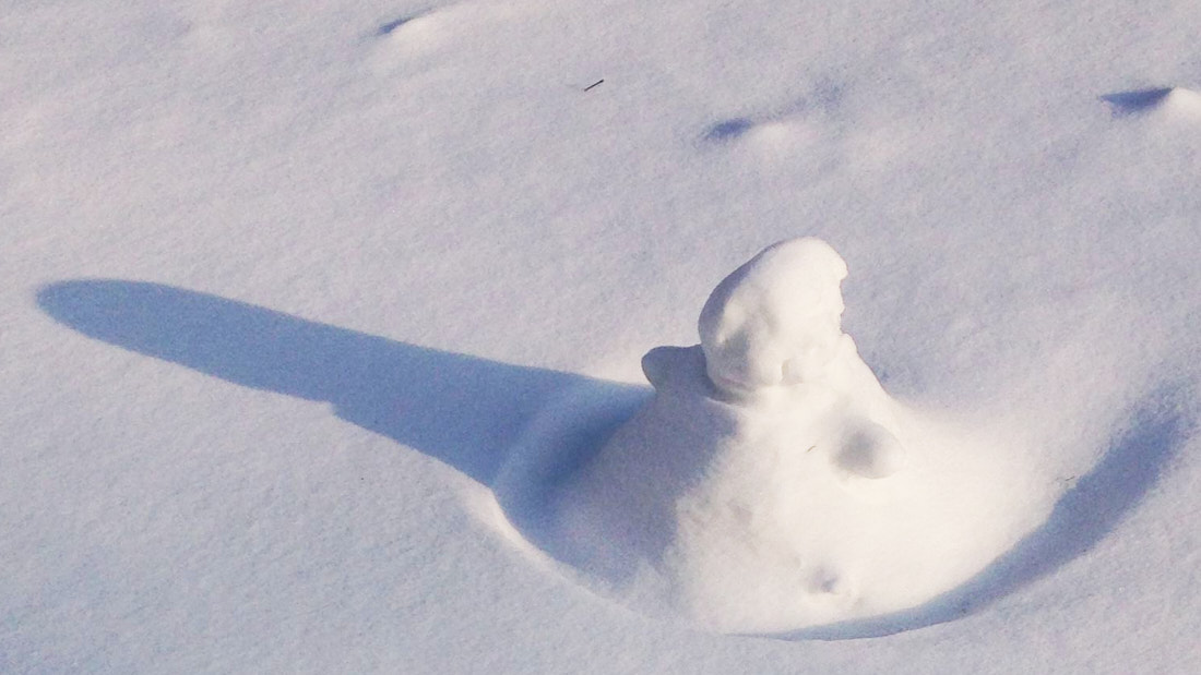 025-2013 Publieke sneeuwpop - Gerard Oonk