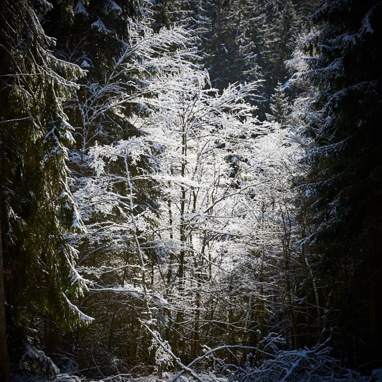 032-2013 Religie in het Sauerland - Gerard Oonk