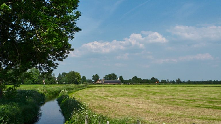 Weiland, blauwe lucht en een boerderij