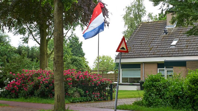 Vlag met schooltas