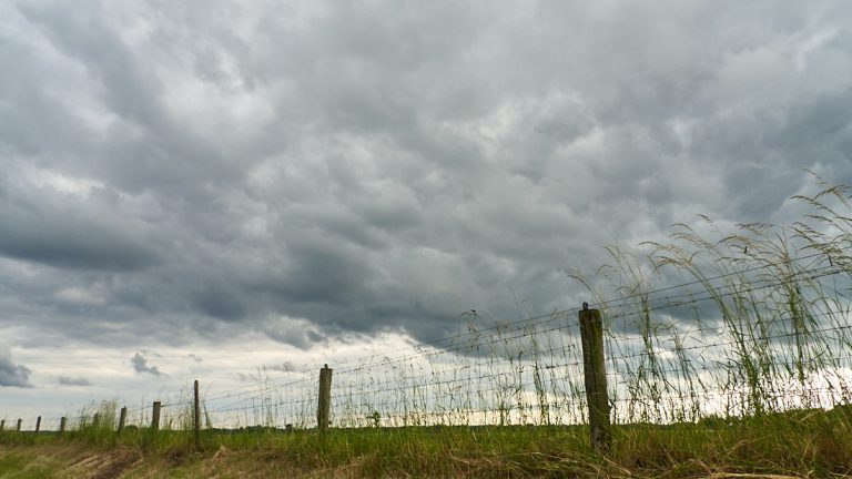 Weiland met donkere regenwolken