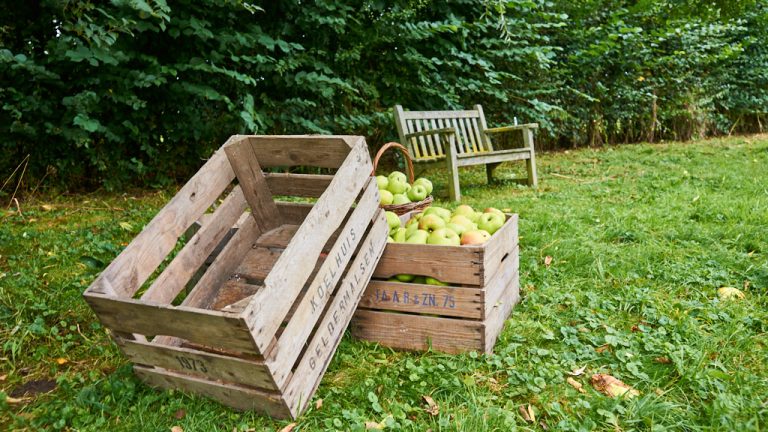 Twee kisten voor appels