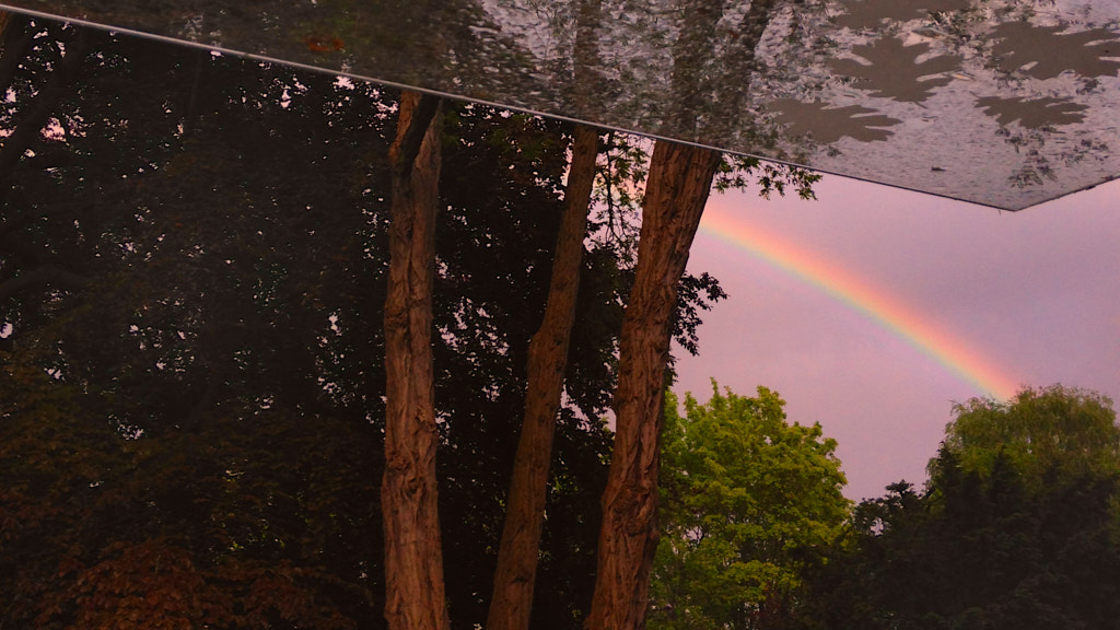 Bushokje en regenboog