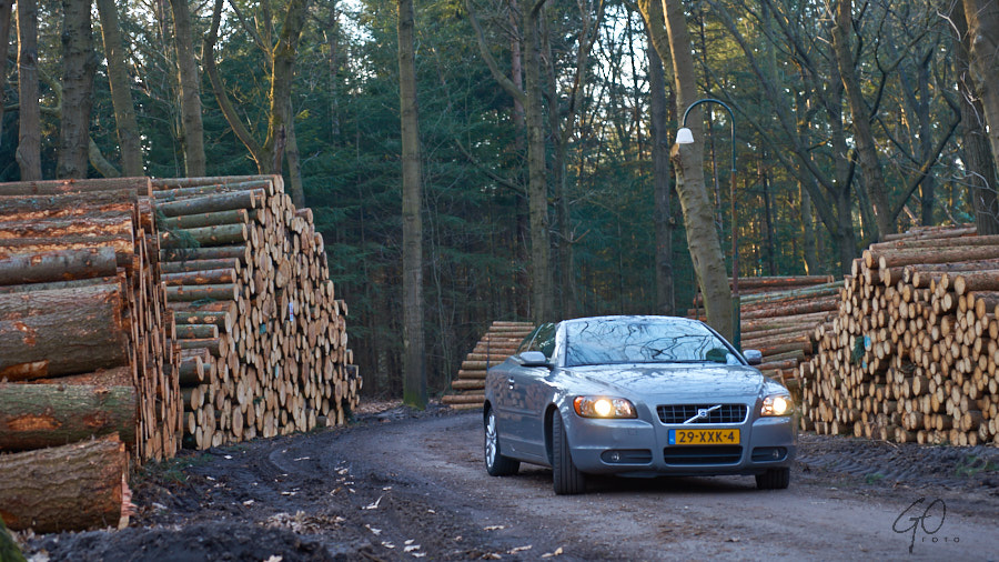 Volvo C70 in bos met gekapte bomen