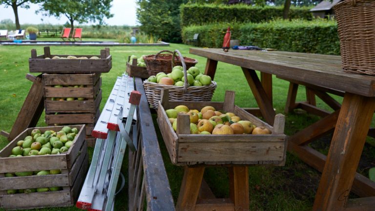 Kisten met appels en een ladder