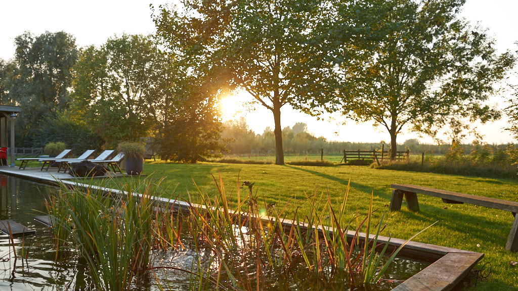 Grote tuin met vijver in avondzon