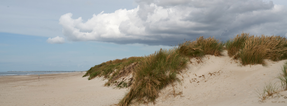 Blåvand strand