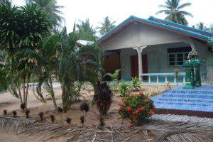 maison sous les cocotiers