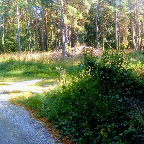 Bro IP, (vid Kvievägen) Bros äldsta plan låg några hundra meter söder om Tingsbrovallen, vid vägskälet mot Kvie. Seriespel 1925-1938. Bro IK:s hemmaplan.