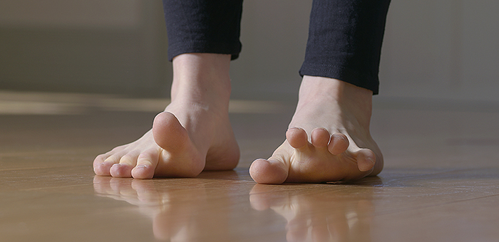 Gotvedinstituttet fodtræning.