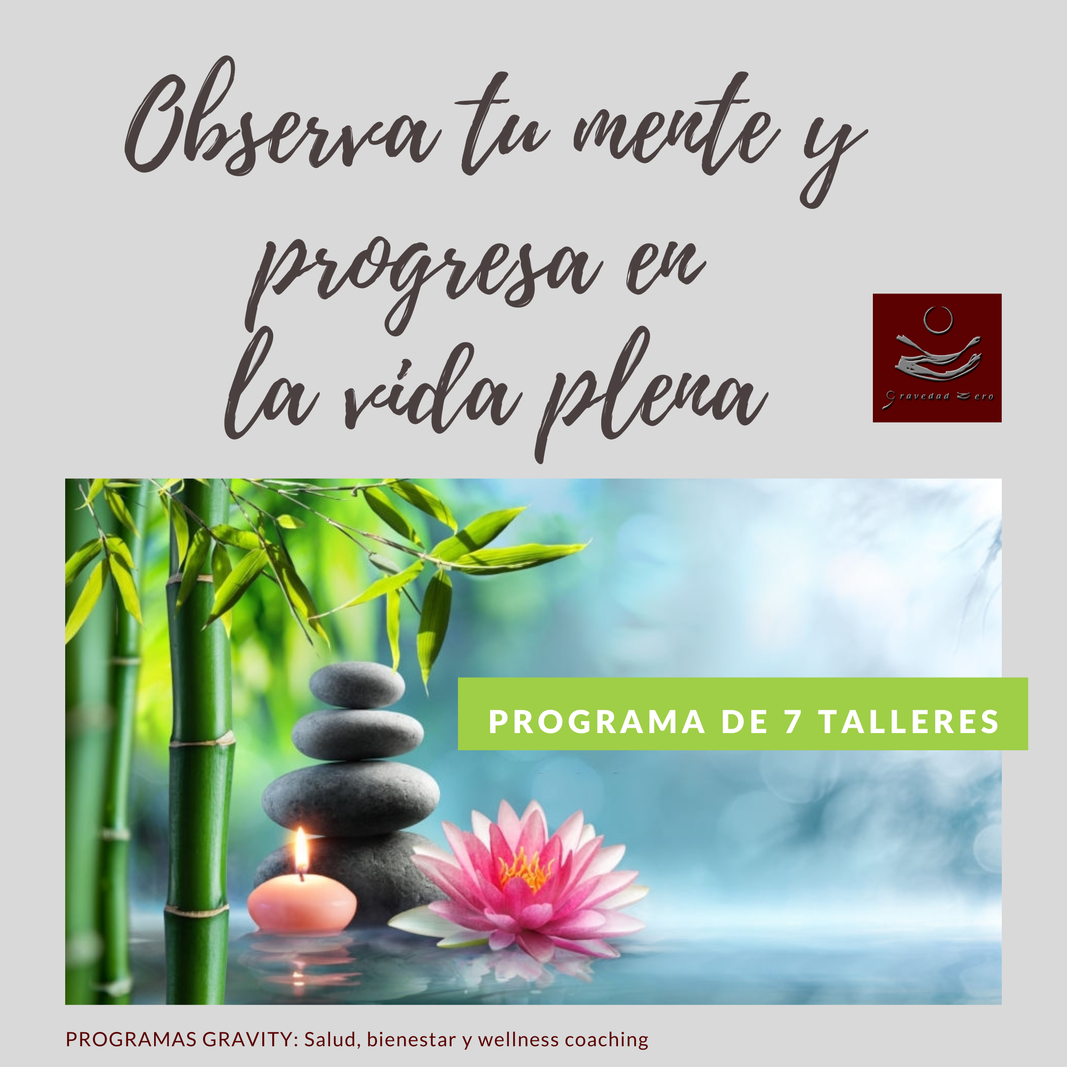 Despeja tu mente y aprende más allá de la meditación. Programa de 6 semanas para aprender a meditar desde 0