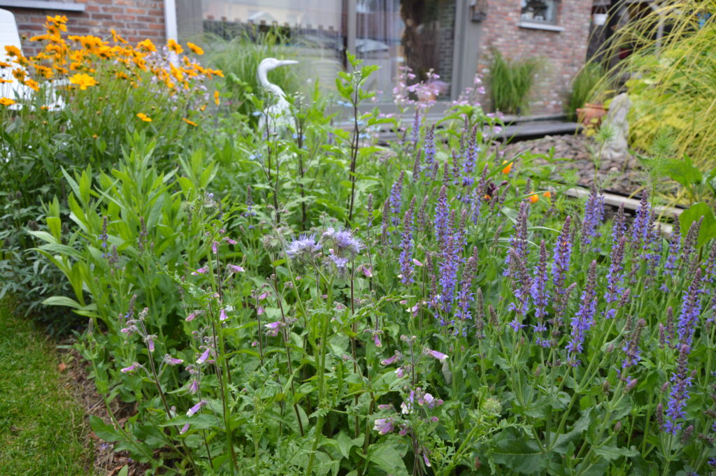 Vaste plantenborder