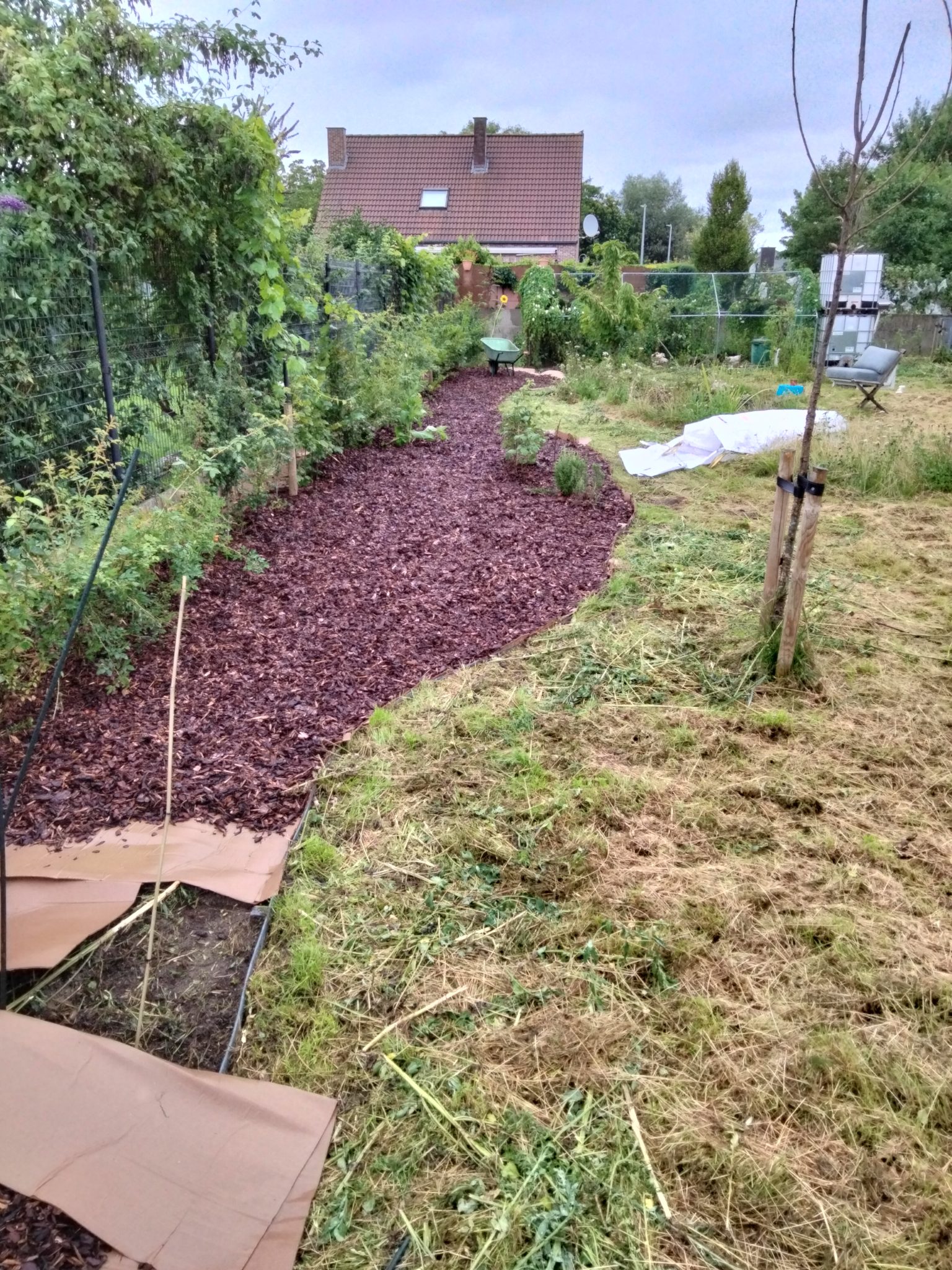 Onkruid Verwijderen Greendriver Ecologisch Tuinonderhoud