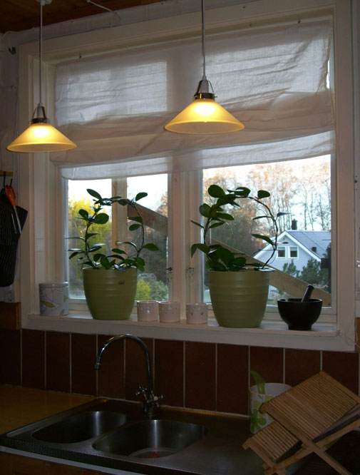 Kök 2009 var i norrläge och med snygg ställning utanför fönster!