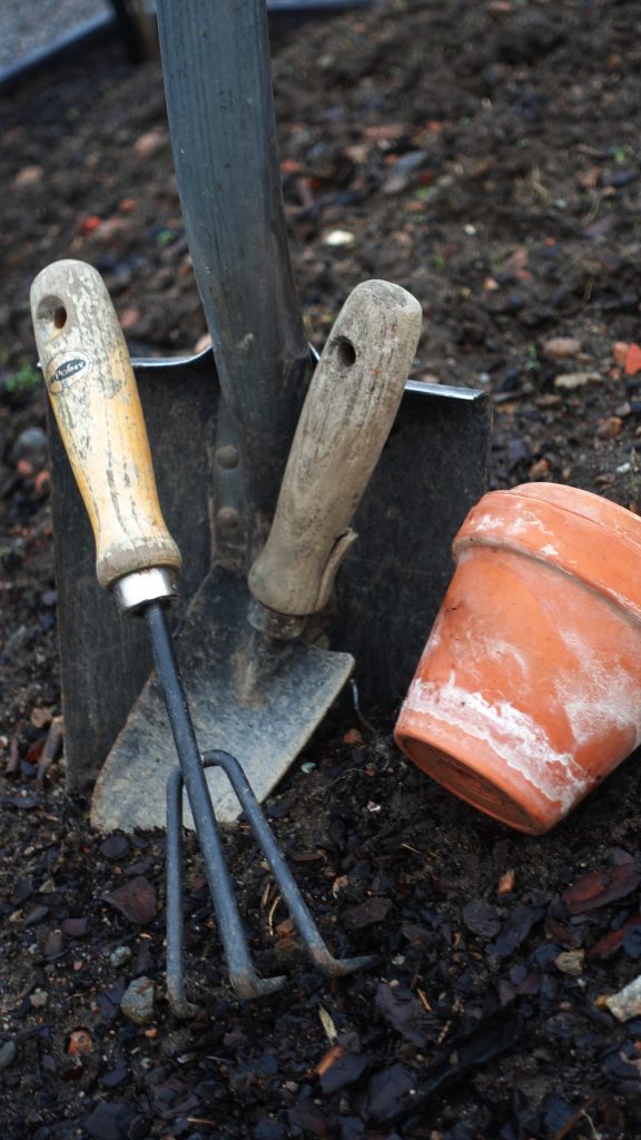 Måsten i trädgården. Spade Projekt i landen