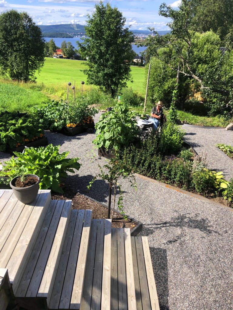 Kontoret i trädgården. Odlingsåret av grönsaker 2020
