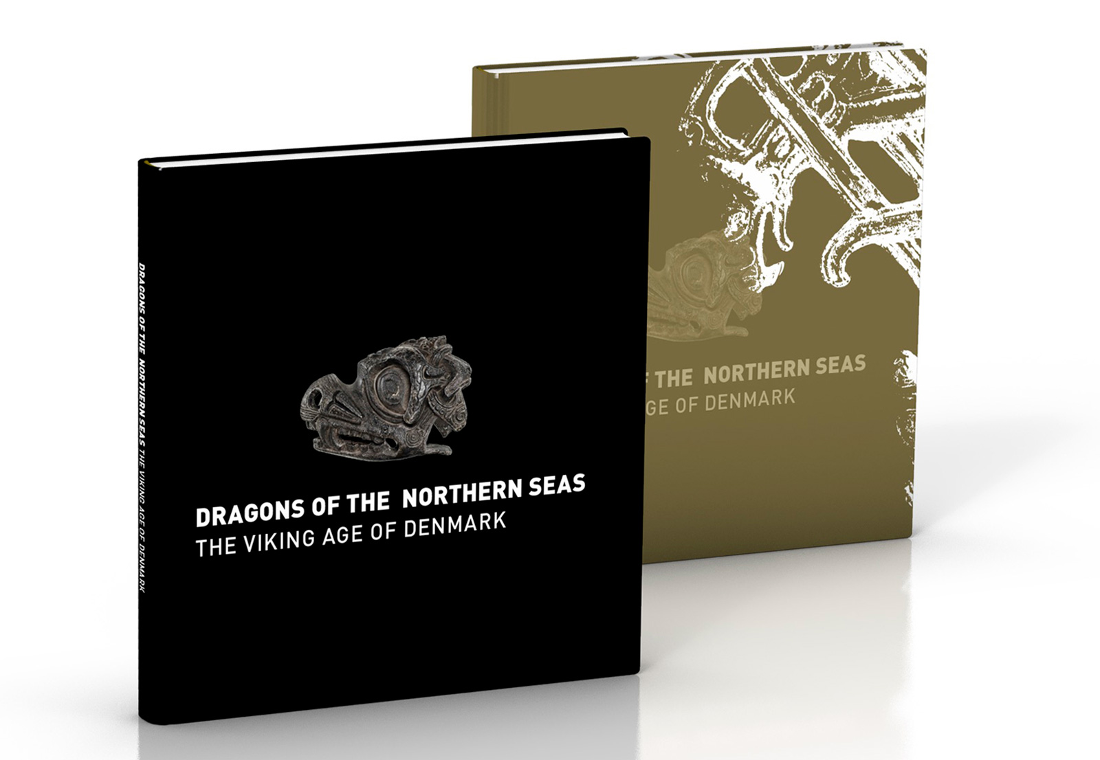 Dragons of the Northern Seas