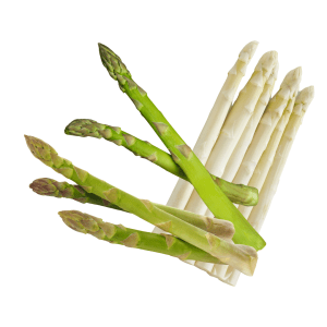 Asperge