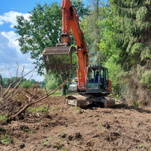 Uittrekken stronken. Regio Haacht, Tildonk, Wespelaar, Wakkerzeel, Keerbergen, Kampenhout, Steenokkerzeel, Berg, Boortmeerbeek, Rotselaar, Tremelo, Herent, Veltem-Beisem, Veltem, Hever, Muizen, Bonheiden.