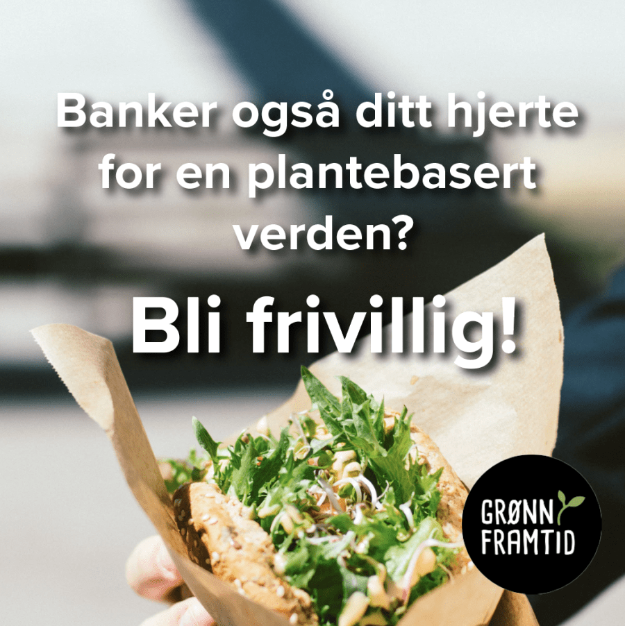 Bli frivillig!