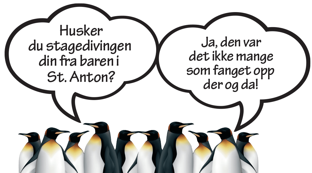 pingviner_dobbel_st_ant_testreise