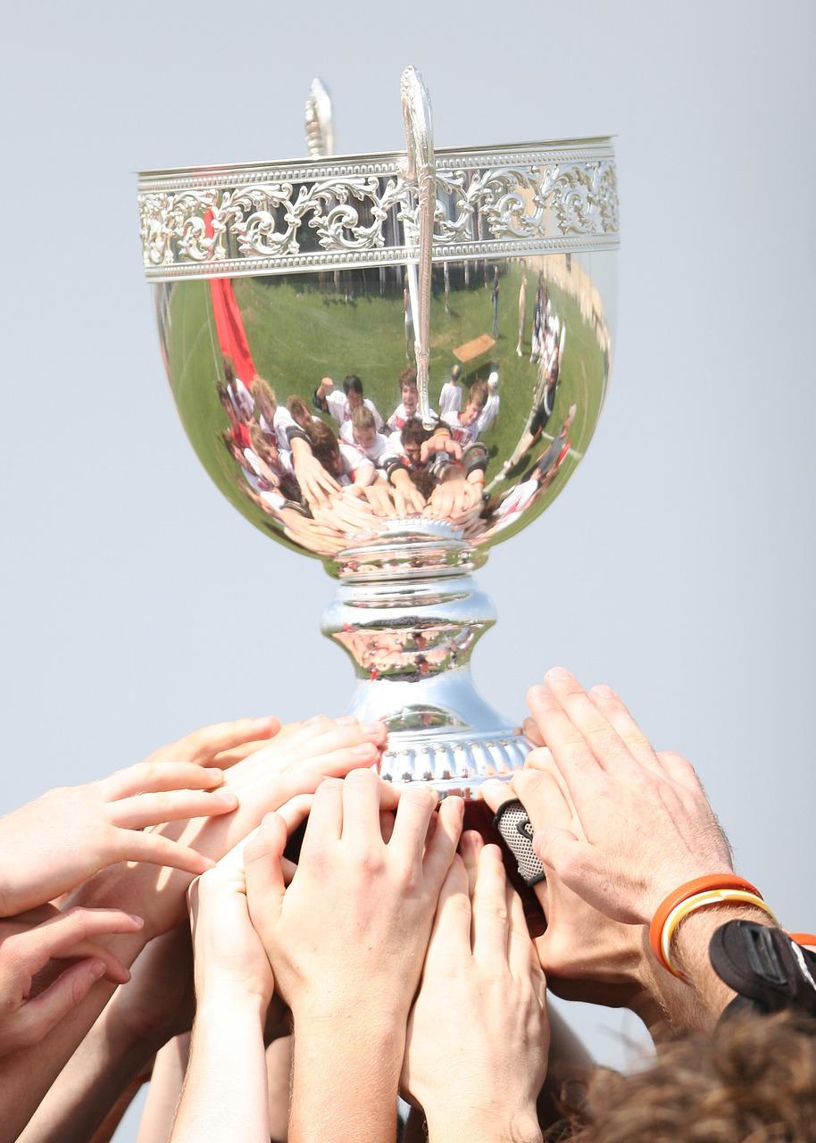 champions, award, trophy-1411861.jpg