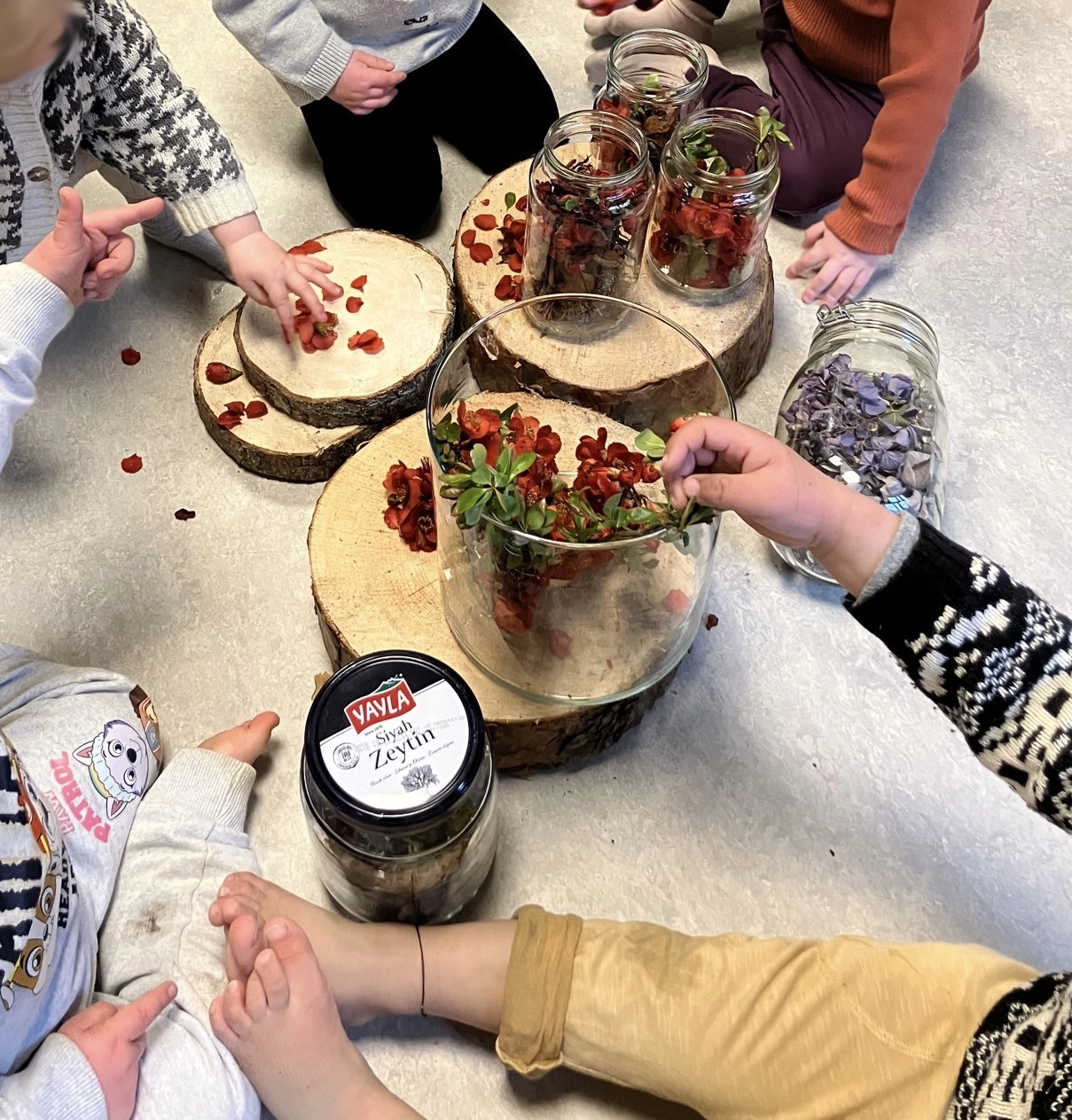 naturkunskap-i-förskolan