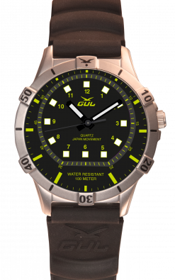 A classic water sports watch