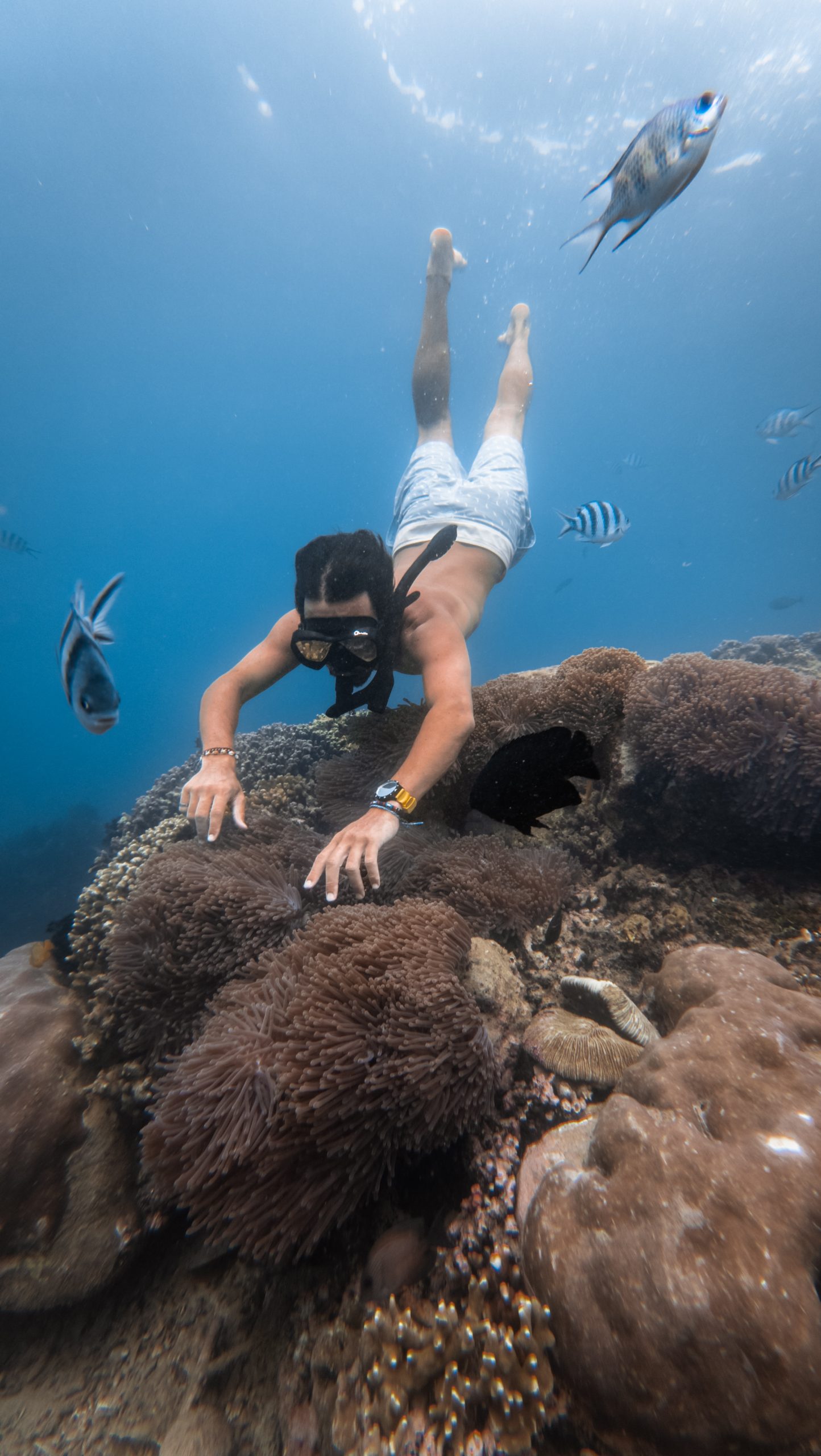gul watches Filipe Ribeiro de Brito3 with gul watch on arm diving in water