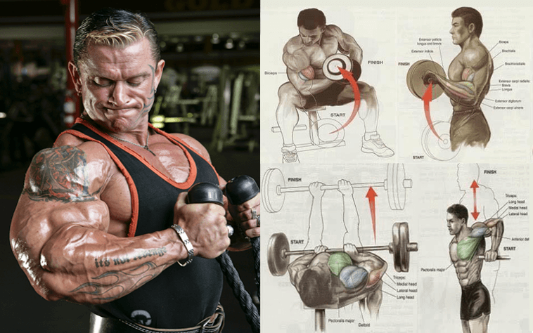 Arm workout pump hotsell