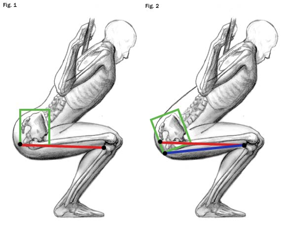 Will Squats And Deadlifts Thicken Your Waist?