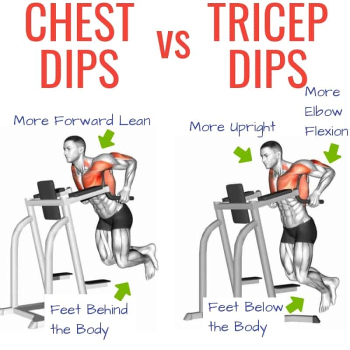 The Essential 8 Multi joint Exercises Training Splits That Will