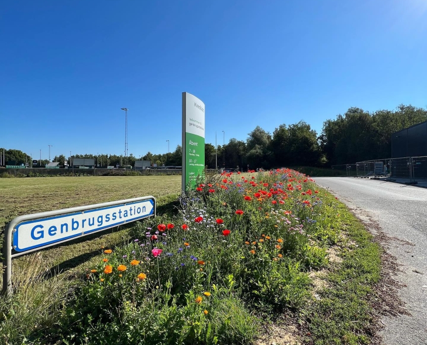 Vi etablerer grønne områder med vilde blomster i Aarhus kommune. For at passe på vores natur og fremme biodiversitet.